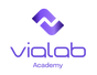 Vialab Academy