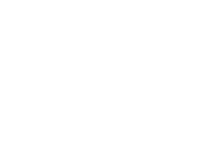 Vialab Academy